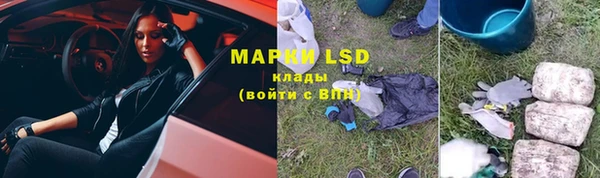 индика Балахна