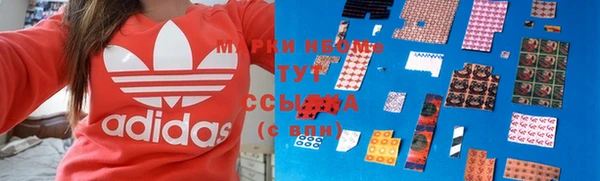 индика Балахна