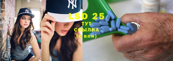 индика Балахна