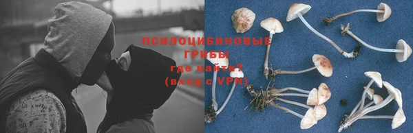 дживик Балабаново