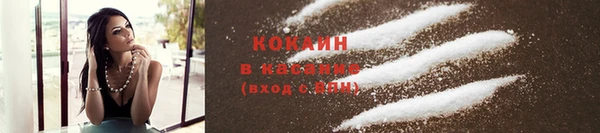 индика Балахна