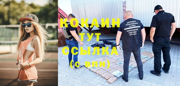 индика Балахна