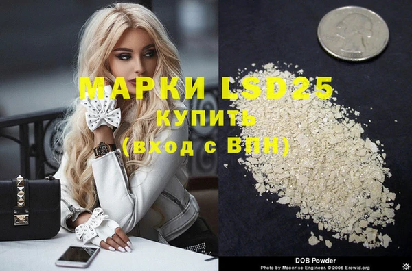 индика Балахна